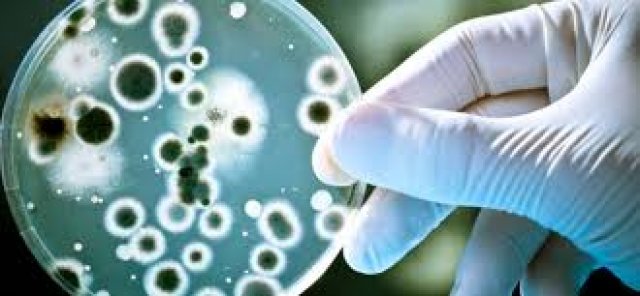 Cientistas advertem: não podemos fazer nada sobre as superbactérias resistentes a antibióticos