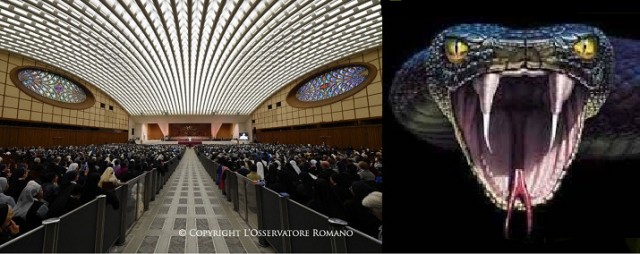 Resultado de imagem para FOTO AUDITORIO DO VATICANO COBRA